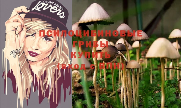 тгк Горняк