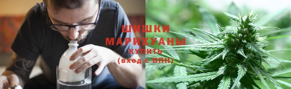 гидропоника Горно-Алтайск
