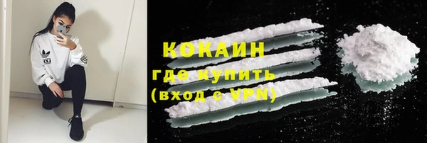 шишки Горнозаводск