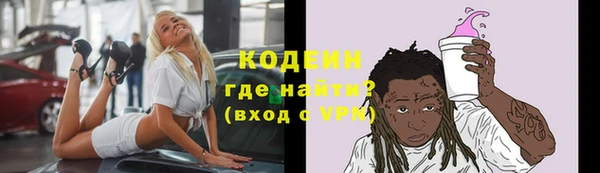 шишки Горнозаводск