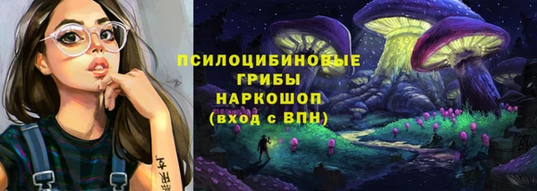 гидропоника Горно-Алтайск